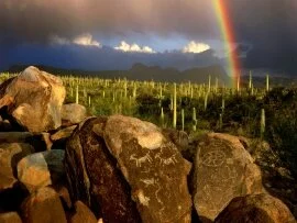 Hohokam Petroglyphs, Saguaro National Park, Ariz.jpg (click to view)