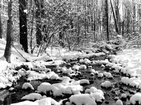 Icy Cold River, Ontario -  - ID 10606 -.jpg