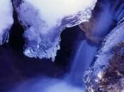 Icy Waters, Hoover Wilderness, Ca.jpg