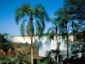 Iguassu Falls, Argentina -  - ID 25952.jpg