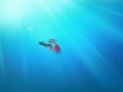 img0.jpg