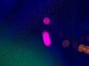 img20.jpg