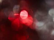 img22.jpg