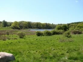 In front of a lake