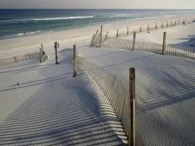 Island Beach State Park, New Jersey -  .jpg