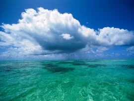 Island of Tahaa, French Polynesia -  - .jpg (click to view)