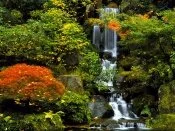 Japanese Garden, Portland, Oregon -  - .jpg