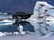 Jokulsarlon Lagoon, Iceland - 160.jpg