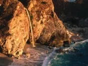 Julia Pfeiffer Burns State Park, near Big Sur, C.jpg