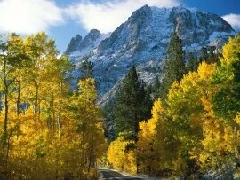 June Lake, California (click to view)