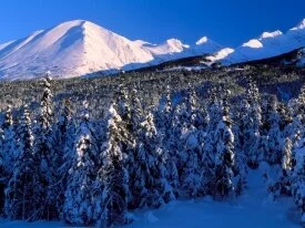 Kenai Mountains, Canyon Creek, Alaska - .jpg