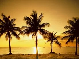 Key Biscayne, near Miami, Florida -  - .jpg