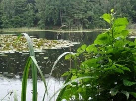 Lake on Molle