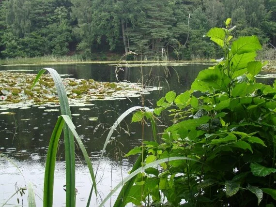 Lake on Molle (click to view)