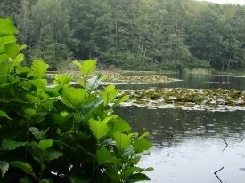 Lake on Molle 2