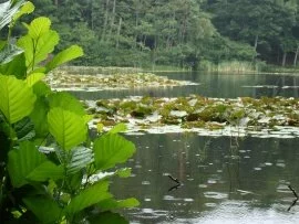Lake on Molle 3 (click to view)