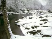 Little Pigeon River, Great Smoky .jpg
