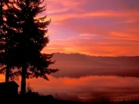 Living Waters, Hood Canal, Washington - .jpg (click to view)