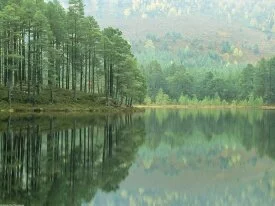 Loch An Eilein, Scotland -  - ID 41782.jpg