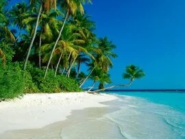 Lost in Paradise -  - ID 39966.jpg (click to view)
