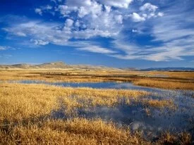 Lower Klamath Lake National Wildlife Refuge, Cal.jpg