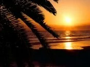 Madeira Beach, Florida -  - ID 39634.jpg