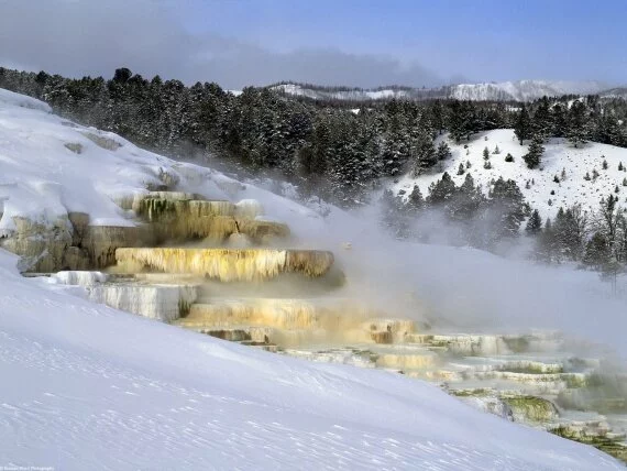Mammoth Hot Springs, Yellowstone National Park, .jpg (click to view)