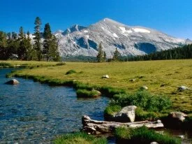 Mammoth Peak, Yosemite National Park,  Californi.jpg