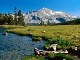 Mammoth Peak, Yosemite National Park,  Californi.jpg (click to view)