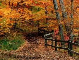 McCormick Creek State Park, Indiana -  .jpg (click to view)