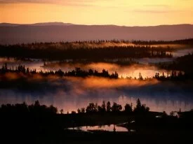 Misty Valley -  - ID 25848 - PREMIUM.jpg
