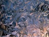 Morning Frost -  - ID 36.jpg