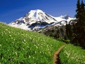 Mount Baker Snoqualmie, National Forest, Washing.jpg