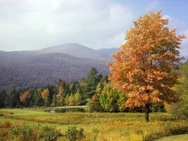 Mount Mansfield, Vermont -  - ID 34904.jpg (click to view)