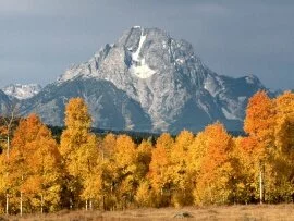 Mount Moran in Autumn, Wyoming -  - ID .jpg (click to view)