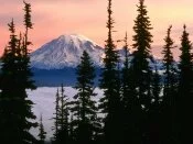 Mount Rainier, Washington -  - ID 31124.jpg