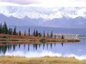 Mount Tundra and Wonder Lake, Denali National Pa.jpg