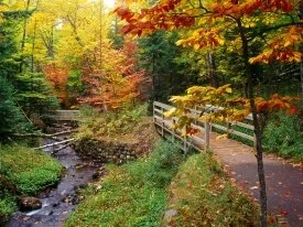 Munising Falls Trail, Alger County, Michigan - 1.jpg