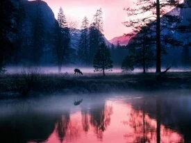 Mystical Waters, Yosemite National Park, Califor.jpg