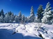 Natural Blanket