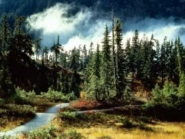 Nature's Majesty -  - ID 26833.jpg (click to view)