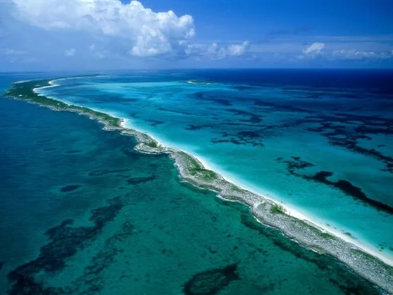 New Providence Islands, Bahamas -  - ID.jpg (click to view)