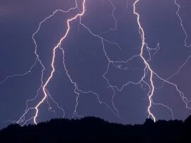 Night Striker -  - ID 37859.jpg (click to view)