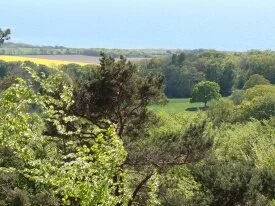 On Kullaberg