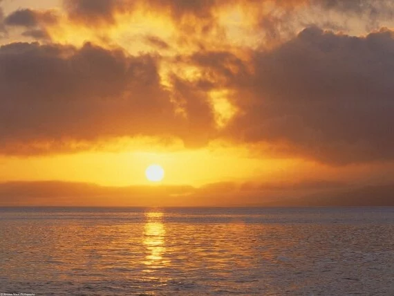 Pacific Sunset -  - ID 38591.jpg (click to view)
