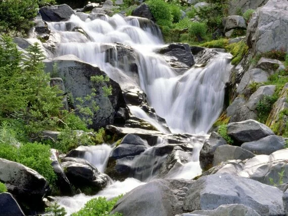 Paradise River, Mount Rainier National Park, Was.jpg (click to view)