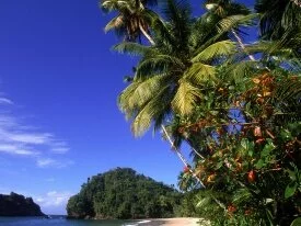 Paria Beach, Trinidad -  - ID 45445.jpg