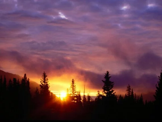 Part The Skies, San Isabel National Forest, Colo.jpg (click to view)