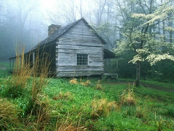 Peaceful Morning, Noah 'Bud' Ogles Place, Smoky .jpg (click to view)