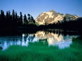 Peak of Summer, Mount Shuksan, North Cascades Na.jpg